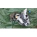 Fan Nagrzewnica Opel Vectra C 13172719 Fan Nagrzewnica Opel Vectra C 13172719